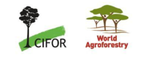 Cifor Logo